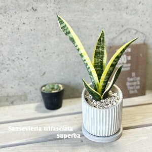 ϗtAyTZBGAzTXxAEX[p[o[4ZgiHH31803jiMtj