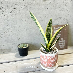 ϗtAyTZBGAzTXxAEX[p[o[4Z~bNiCP2413ORjiMtj