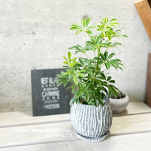 ϗtAyVFtzVFtA@RpN^5.5ZgiGG16104-GRjiMtjJ|bNEzRJ|bN