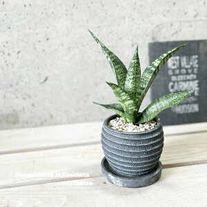 ϗtAyTZBGAzTXxAEgt@XLA^E[jJ4ZgiWC855-BKjiMtRS120BKj