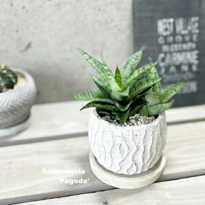 ϗtAyTZBGAzTXxAEpS_4ZgiWC609S-WjiMtRS120j