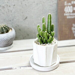 AyZEXzZEXEyBAkX3.5픫iYJ230222-Wj(MtCX137)