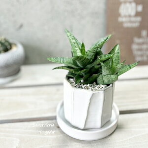 ϗtAyTZBGAzTXxAEpS_3.5픫iYJ230222-Wj(MtCX137)