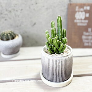 AyZEXzZEXEyBAkX4Zg(GG30A-TA)iMtRS120j