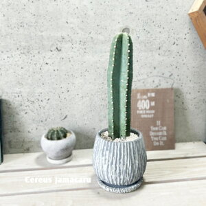 AyZEXznVT{e }J5.5ZgiGG16104-GRjiMtj