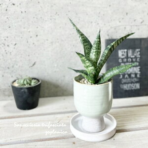 ϗtAyTZBGAzTXxAEgt@XLA^E[jJ3.5Z~bNiTQ611-MGRjiMtCX137j