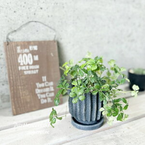 ϗtAypemLbXXzVK[oC 3.5ZgiKL47BKBBjiMtj