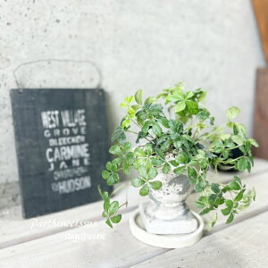 ϗtAypemLbXXzVK[oC 4ZgiMM02GYBBjiMtRS120j