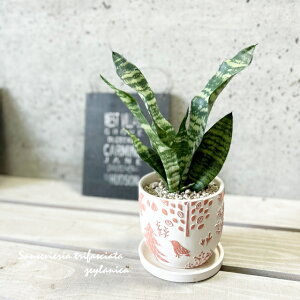 ϗtAyTZBGAzTXxAEgt@XLA^E[jJ4Z~bNiCP2410SORjiMtj