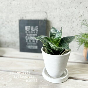 ϗtAyTZBGAzTXxAEgt@XLA^Ηtnj[S 4.5 i{^[j[v[12^WjiMtCX137j