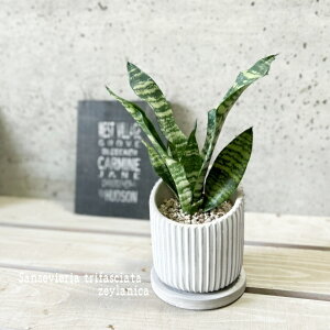 ϗtAyTZBGAzTXxAEgt@XLA^E[jJ4ZgiHH31803jiMtj