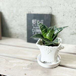 ϗtAyTZBGAzTXxAEgt@XLA^Ηtnj[S 4 픫i20103-1E12jiMtCX137j