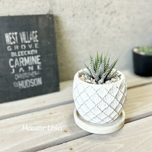 AynI`Az\̊@4ZgiWC0045S-WjiMtj