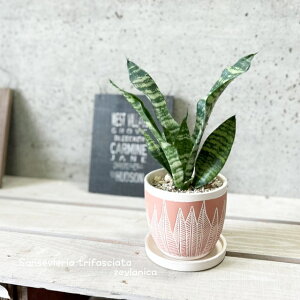 ϗtAyTZBGAzTXxAEgt@XLA^E[jJ4ZgiCP847ORjiMtj