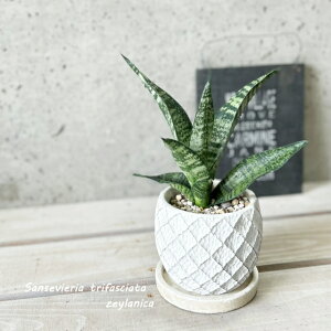 ϗtAyTZBGAzTXxAEgt@XLA^E[jJ4Zg(WC0045S-W)iMtj