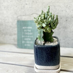 Ay[tHrAzNrR4.5iMtjiDA-1313j