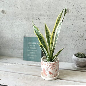 ϗtAyTZBGAzTXxAgt@XLA^[eB[4Z~bNiCP2410SORj