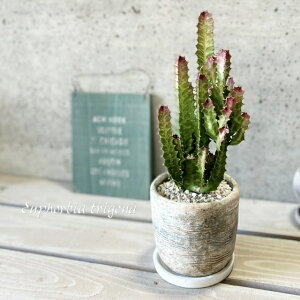 ϗtAy[tHrAzTCEJN4.5ZgiHH31472jiMtj