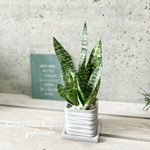 ϗtAyTZBGAzTXxAEgt@XLA^E[jJ3.5 ZgMtiHH31733j