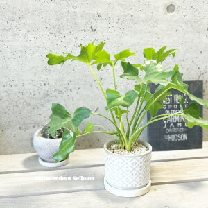 ϗtAytBfhztBfhEZ[4ZgiHH8113jiMtj