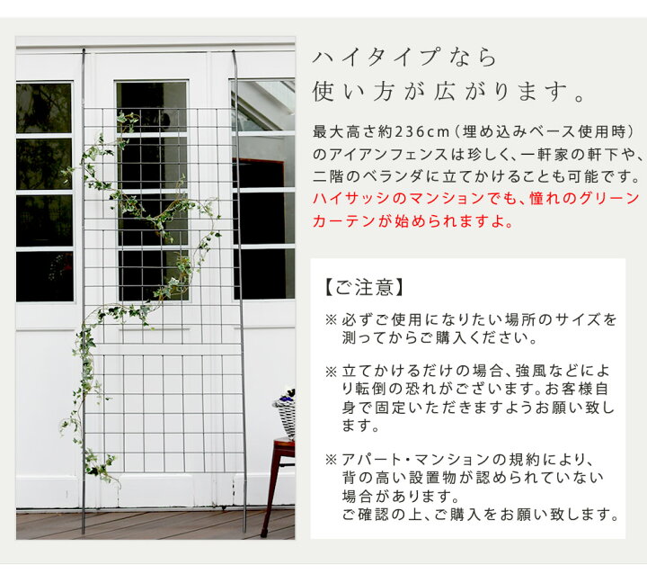 楽天市場 アイアン製グリーンカーテン グラフ 送料無料 フェンス アイアン グリーンカーテン ゴーヤ 薔薇 バラ 朝顔 庭 ベランダ ガーデニング 枠 柵 仕切り 目隠し 境目 アンティーク トレリス 園芸 ラティス 屋外 メーカー直送のため同梱不可 産直花だん屋