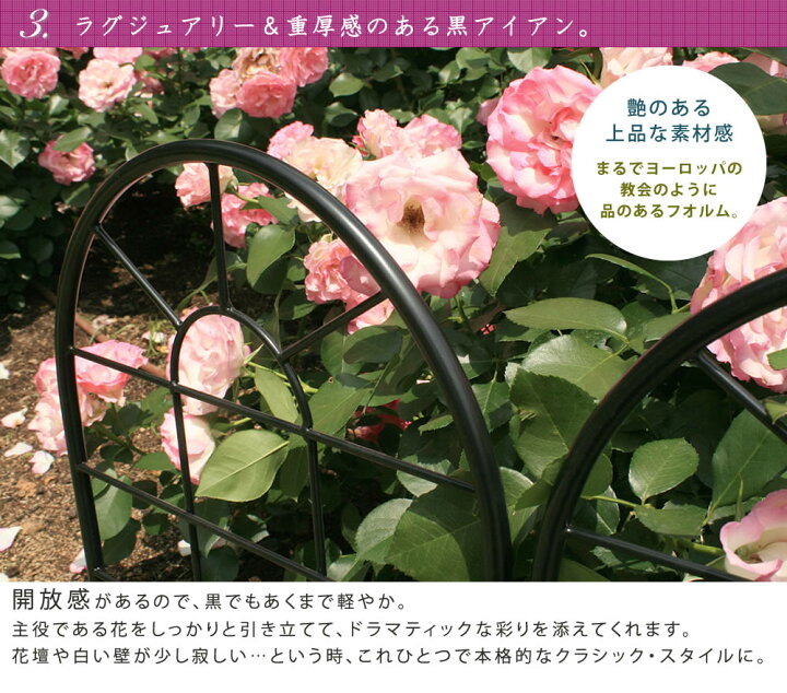 楽天市場 クラシックフェンス2 ハイタイプ 2枚組 送料無料 フェンス アイアン ガーデンフェンス ガーデニング 枠 柵 仕切り 目隠し 境目 クラシカル アンティーク トレリス ベランダ つる 薔薇 バラ 朝顔 園芸 ラティス つるバラ 庭誘引 屋外 産直花だん屋