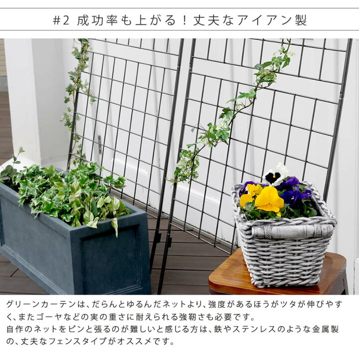 アイアン製グリーンカーテン アーガイル 薔薇 フェンス ゴーヤ バラ 庭 ベランダ グリーンフェンス 送料無料 朝顔 アイアン