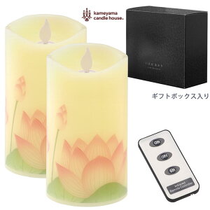 i ͂ 2Zbg Rt LEDLhy݌ɂzJ}Lh  ͂ @c{~ nXc{~