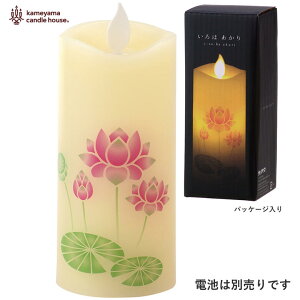 ͂ STCY LEDLhy݌ɂzJ}Lh ͂S @ nX