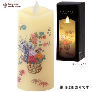 ͂ STCY LEDLhy݌ɂzJ}Lh ͂S  ͂Ȃ