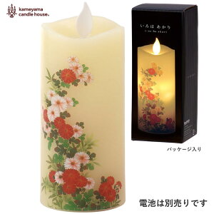 ͂ STCY LEDLhy݌ɂzJ}Lh ͂S e 