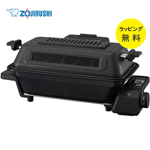 ۈ }`[X^[   Ă jICJbgyj v[gzZOJIRUSHI EF-WA30-HZ `R[