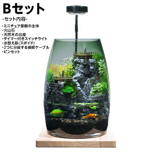 ANAE Zbg ~j`A EhXP[v |J[{l[ggp 3Dvg LEDCg y񂹁z