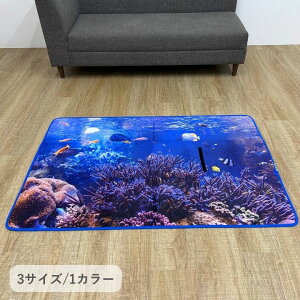 y10/1 |Cgő20{wGg[z~ J[ybg O } 90×130cm