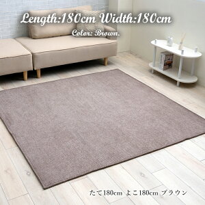【11/1限定 ポイント最大20倍☆複数購入&エントリー】カーペット ラグ シェニール織 絨毯 シェニフ ノンホルムアルデヒド 軽量 無地ラグ 洗えるラグ手洗い 選べる4サイズ カラー3色 長方形 9