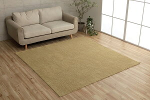 CPqR O J[ybg 8 L߂̃rO ` 200×250cm v[ 6FWJ J[ x[W uE O[ O[ lCr[ [Yy~ Pi t@ubNOzy[J[q