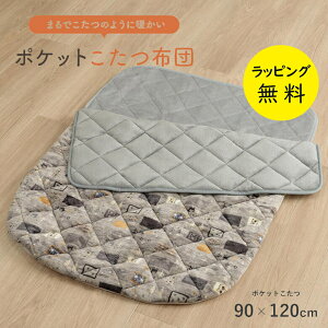 y10/1 |Cgő20{wGg[z|Pbg CPqR h Q ЂƂl lpybsOzy݌ɂzObY 90×120cm |Pbgz