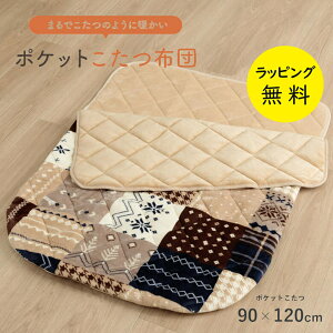 |Pbg CPqR h Q ЂƂl lpybsOzy݌ɂzObY 90×120cm |Pbgzc lCr[