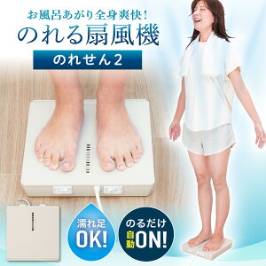 TR[  @ CSgu ̂@ ^ Eߏ ʏ  C T[L[^[y݌ɂzTHANKO ̂ꂹ2 MATFANHWH zCg