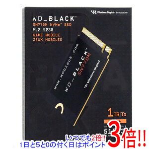 y15.0̂A18̓|Cg3{IzWestern Digital SSD WD_Black SN770M NVMe SSD WDS100T3X0G 1TB