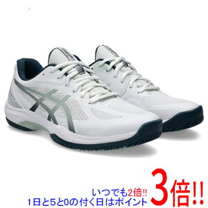 �y1����5.0�̂����A18���̓|�C���g3�{�I�zasics �A�V�b�N�X 27.5cm �o�h�~���g���V���[�Y COURT HUNTER FF 1071A111 �z���C�g/���b�P�� ���b�N