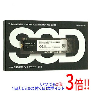 PRINCETON ����SSD EPHD-ISM2G4-1T 1TB