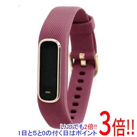 【1日と5.0のつく日、18日はポイント3倍！】【中古】GARMIN vivosmart 4 レギュラー 010-01995-61 Merlot RoseGold 訳あり 元箱あり