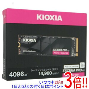 �L�I�N�V�A EXCERIA PRO G2 SSD-CK4.0N5PRG2N