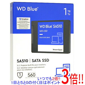 �y1����5.0�̂����A18���̓|�C���g3�{�I�zWestern Digital�� SSD WD Blue SA510 SATA WDS100T3B0A 1TB