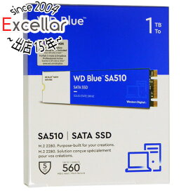 【いつでも2倍！5．0のつく日は3倍！1日も18日も3倍！】Western Digital製 SSD WD Blue SA510 SATA WDS100T3B0B 1TB