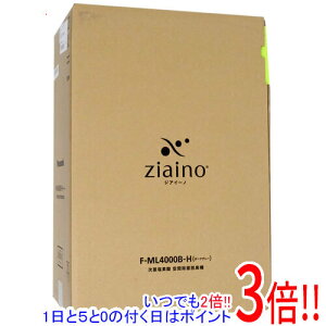 【延長保証対応!!】Panasonic 次亜塩素酸 空間除菌脱臭機 ジアイーノ F-ML4000B-H ダークグレー