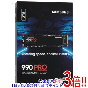 y15.0̂A18̓|Cg3{IzSAMSUNG SSD 990 PRO MZ-V9P2T0B-IT 2TB