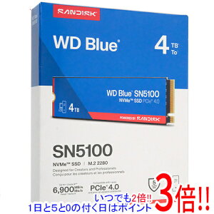 �y1����5.0�̂����A18���̓|�C���g3�{�I�zSandisk WD Blue SN5100 NVMe SSD WDS400T5B0E 4TB