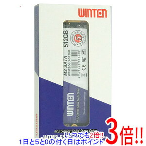 �y1����5.0�̂����A18���̓|�C���g3�{�I�zWINTEN �����^SSD WTM2-SSD-512GB 512GB